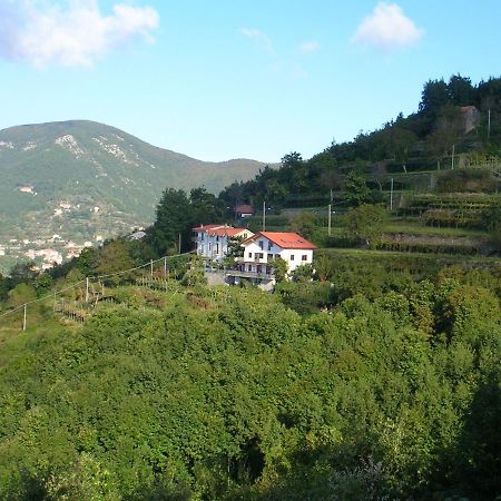 Agriturismo Il Castagno Villa Agerola Eksteriør billede