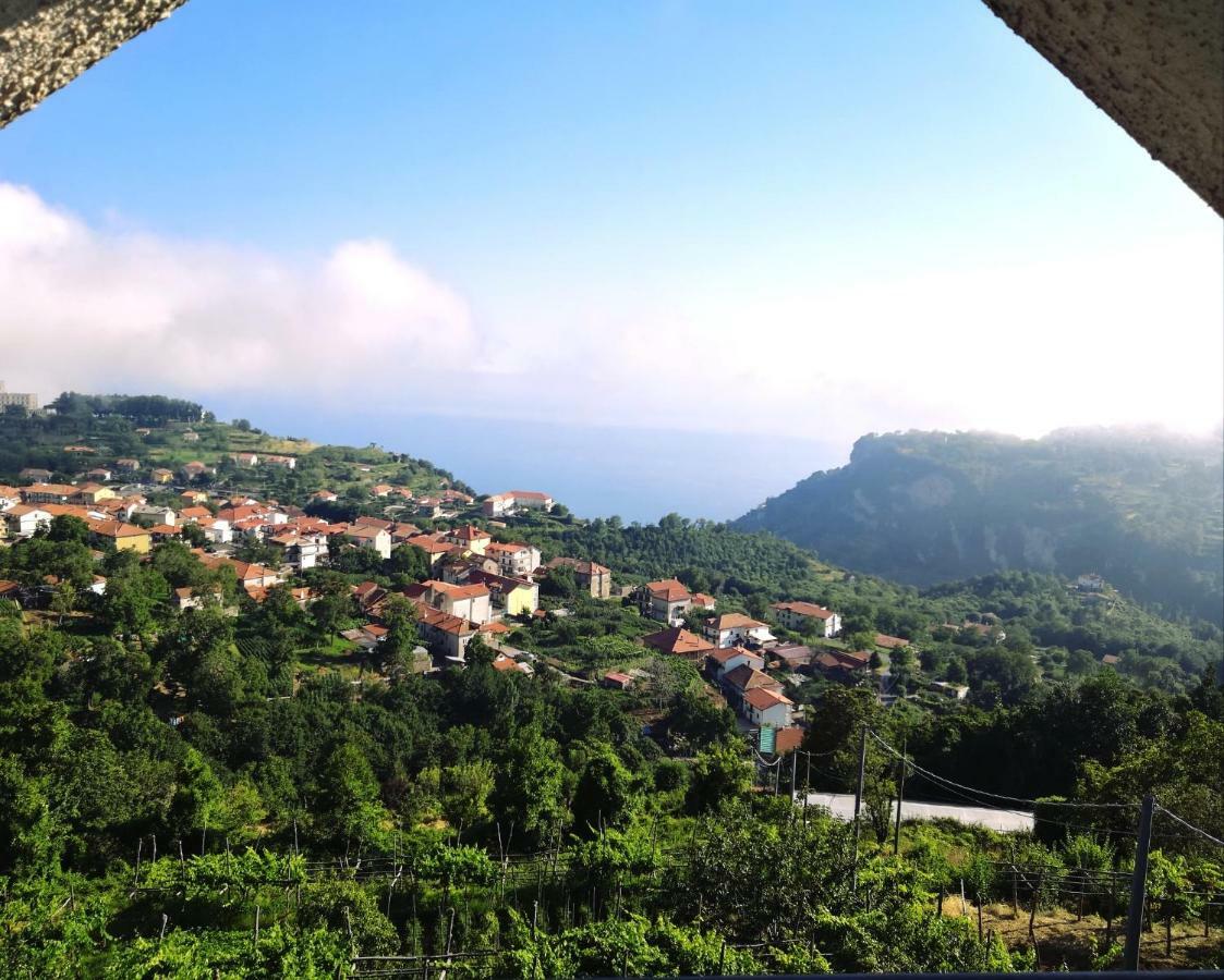 Agriturismo Il Castagno Villa Agerola Eksteriør billede