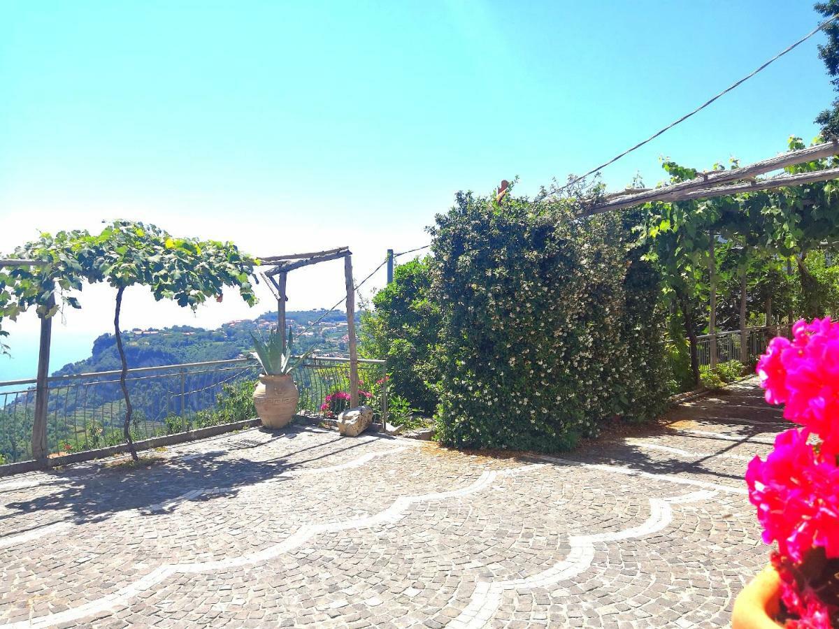 Agriturismo Il Castagno Villa Agerola Eksteriør billede