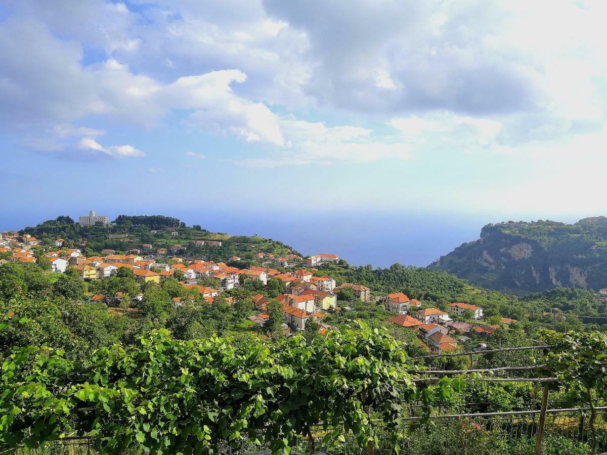 Agriturismo Il Castagno Villa Agerola Eksteriør billede